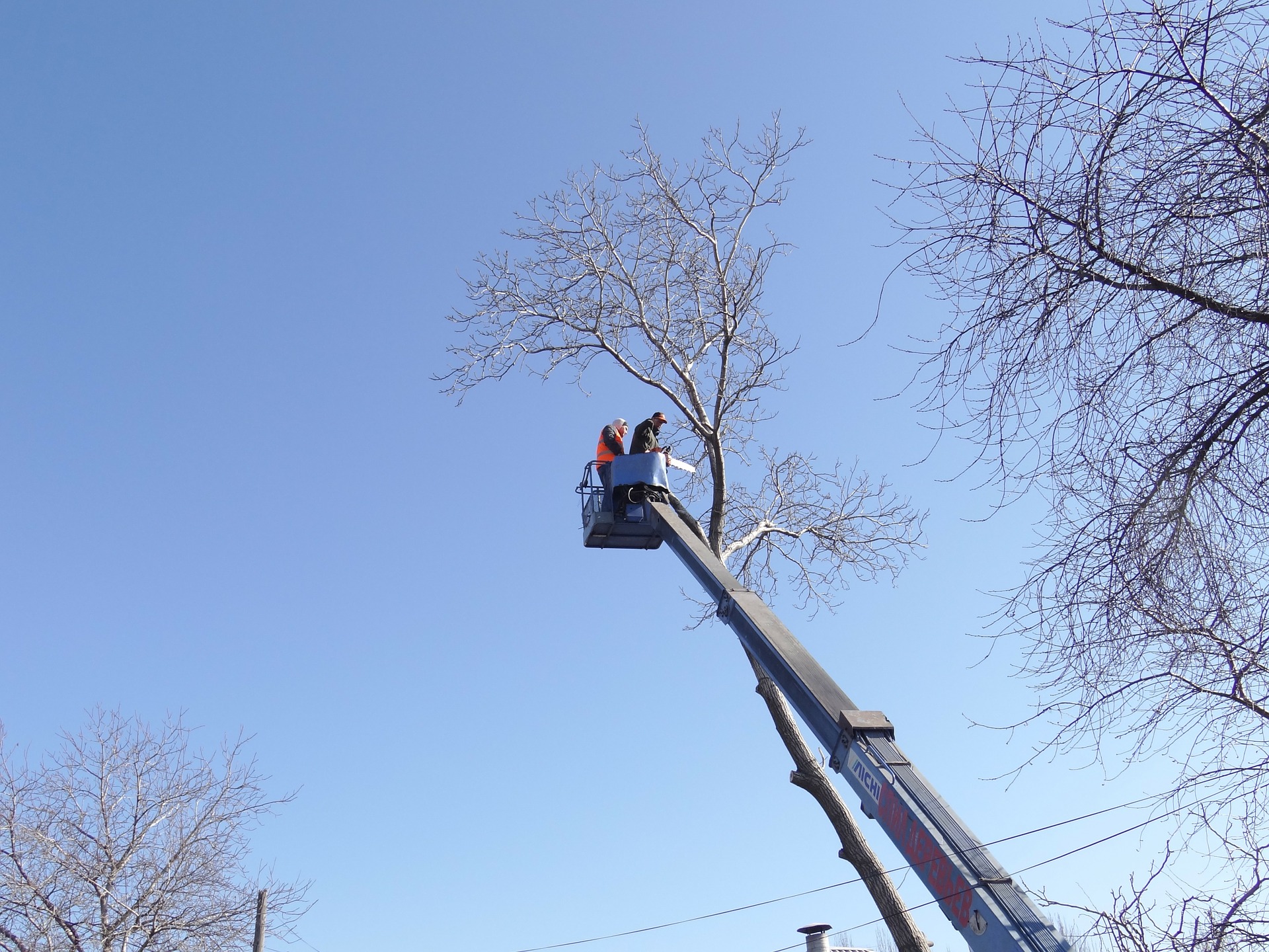 Another Reason to Keep Records in the Cloud: SL Tree Care Ltd Recover After Major Theft