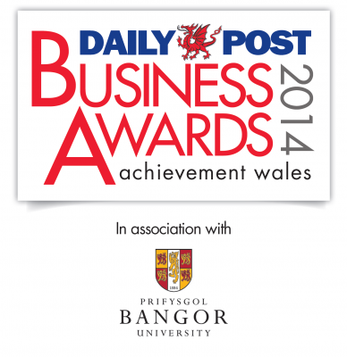 Daily Post Business Awards
