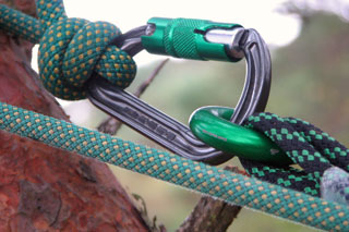 Safety Management for Arborists: LOLER Thorough Examiner Training